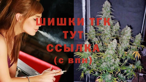 сатива Баксан