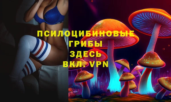 сатива Баксан