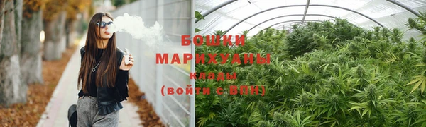 сатива Баксан